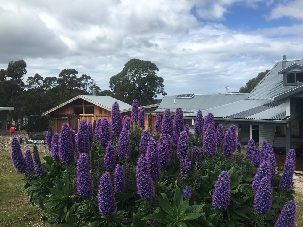 Bruny Island Lodge South Bruny Zewnętrze zdjęcie